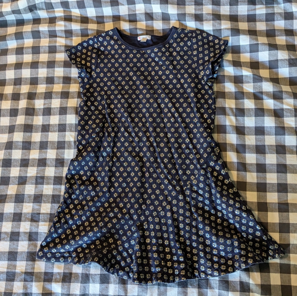 Crewcuts Drop Waist Shimmer Dress
